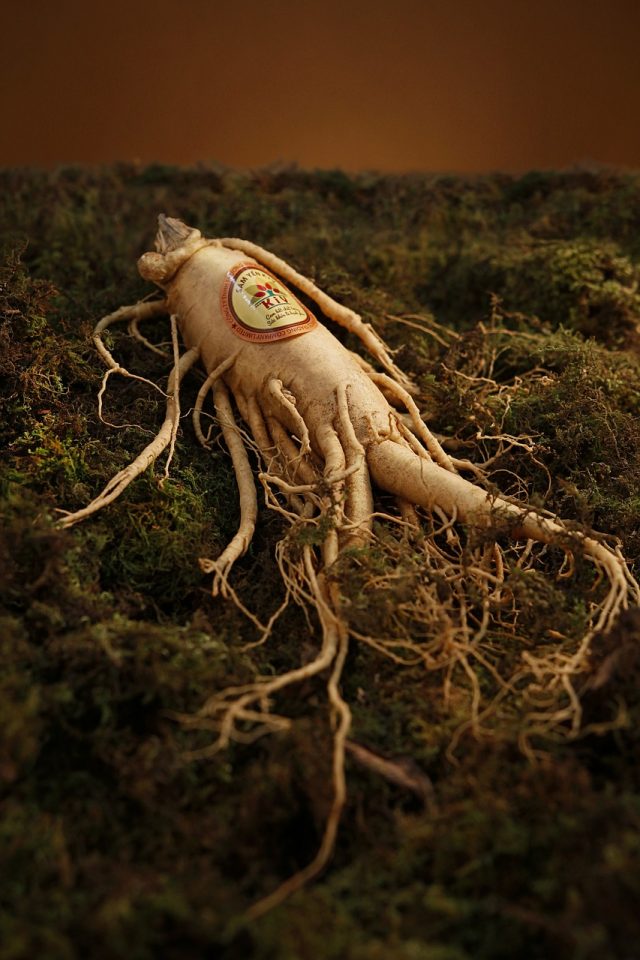 ginseng-1848303_1280